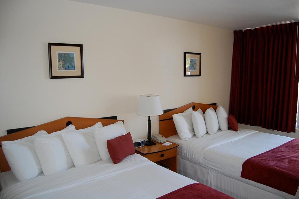 Alcazar Resort- Gay Mens Resort Fort Lauderdale Pokoj fotografie