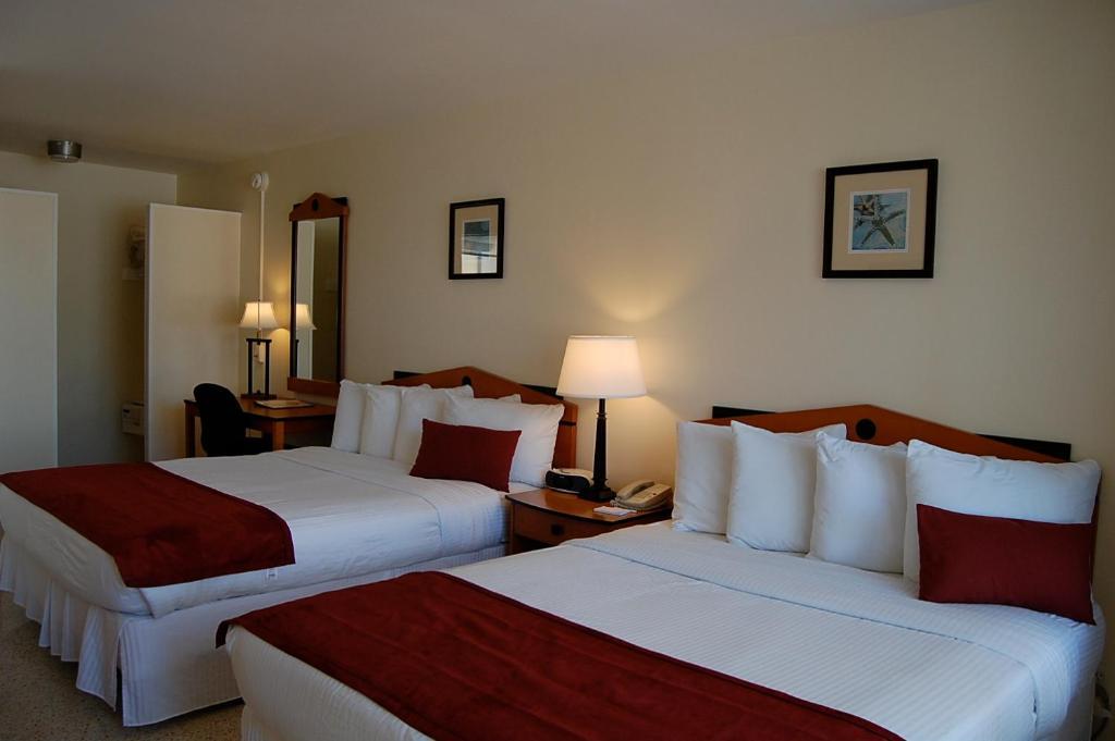 Alcazar Resort- Gay Mens Resort Fort Lauderdale Pokoj fotografie
